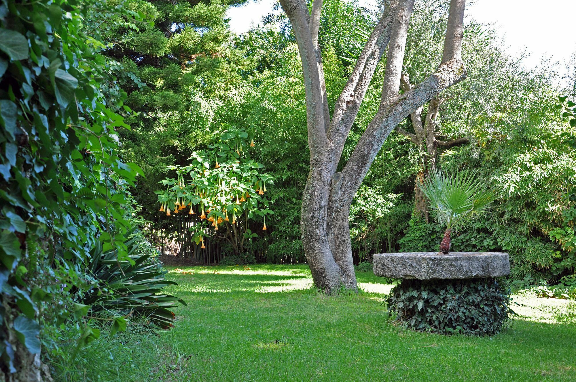 Villa Domenicale Ágios Márkos Exterior foto